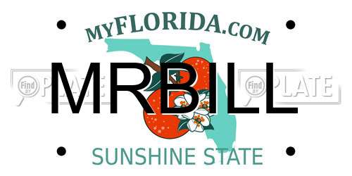 MRBILL Florida License Plate