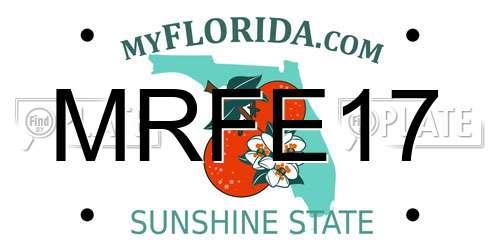 MRFE17 Florida License Plate