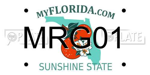 MRG01 Florida License Plate