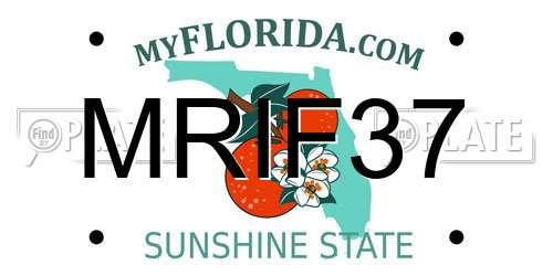 MRIF37 Florida License Plate