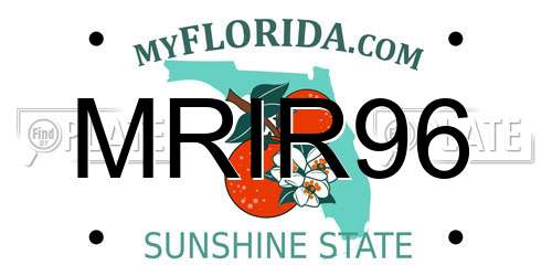 MRIR96 Florida License Plate
