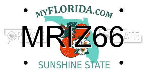 MRIZ66 Florida License Plate