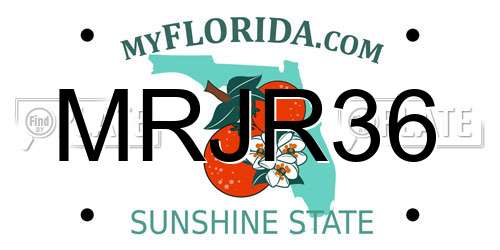 MRJR36 Florida License Plate