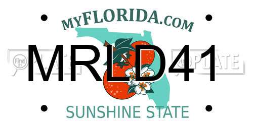 MRLD41 Florida License Plate