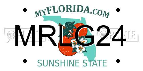 MRLG24 Florida License Plate