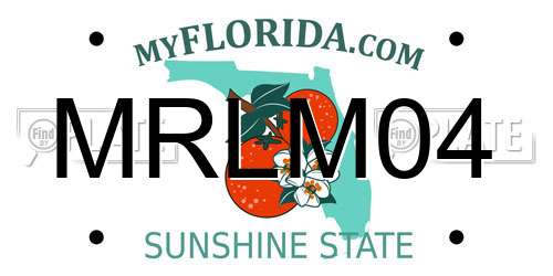 MRLM04 Florida License Plate