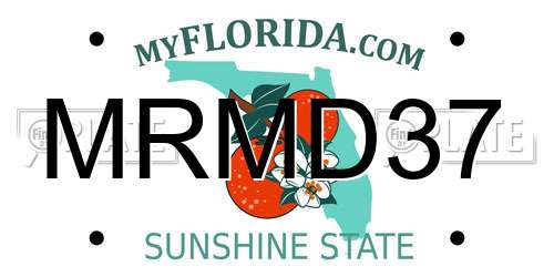 MRMD37 Florida License Plate