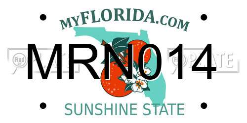 MRN014 Florida License Plate