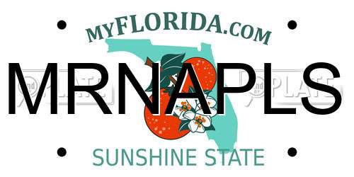 MRNAPLS Florida License Plate