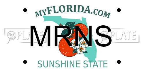MRNS Florida License Plate