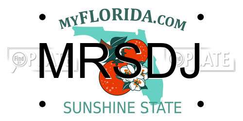 MRSDJ Florida License Plate