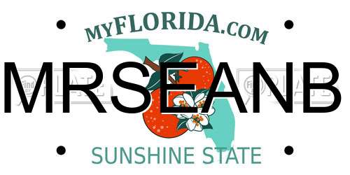 MRSEANB Florida License Plate