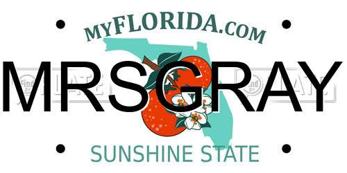 MRSGRAY Florida License Plate