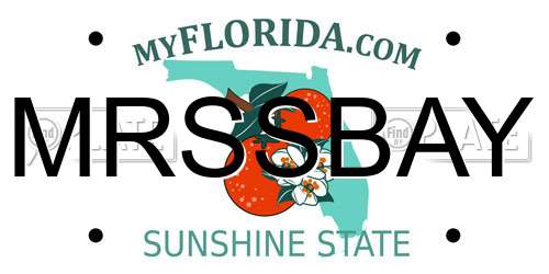 MRSSBAY Florida License Plate