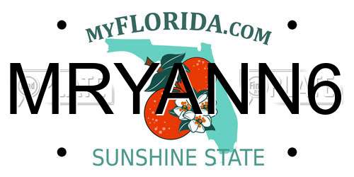 MRYANN6 Florida License Plate