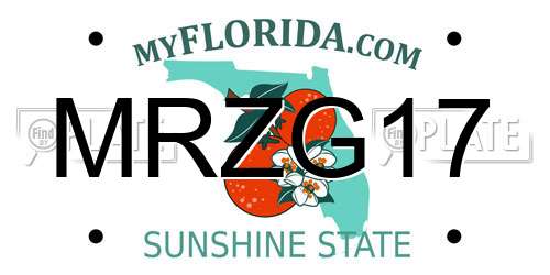 MRZG17 Florida License Plate