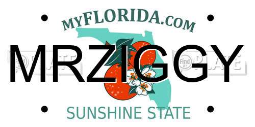 MRZIGGY Florida License Plate