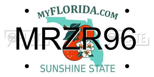 MRZR96 Florida License Plate