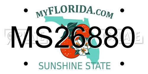 MS26880 Florida License Plate