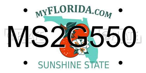 MS2G550 Florida License Plate