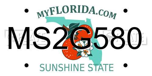 MS2G580 Florida License Plate