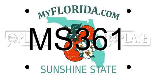 MS361 Florida License Plate