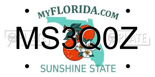 MS3Q0Z Florida License Plate