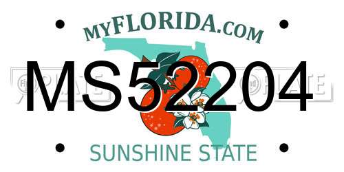 MS52204 Florida License Plate