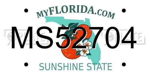 MS52704 Florida License Plate