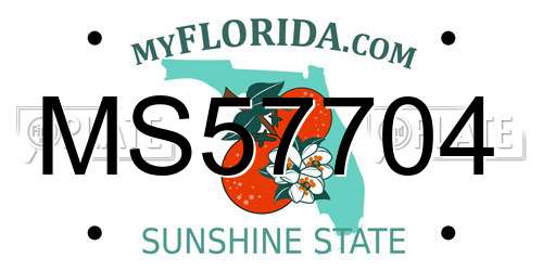 MS57704 Florida License Plate