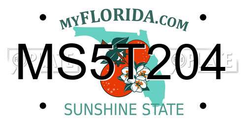 MS5T204 Florida License Plate