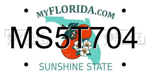 MS5T704 Florida License Plate
