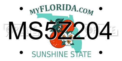 MS5Z204 Florida License Plate