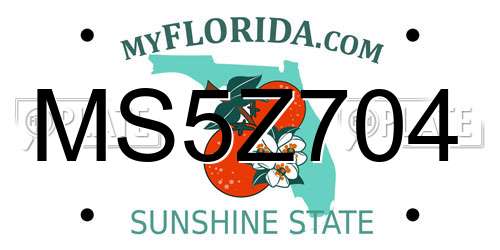 MS5Z704 Florida License Plate