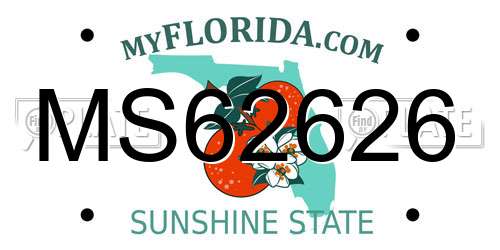 MS62626 Florida License Plate