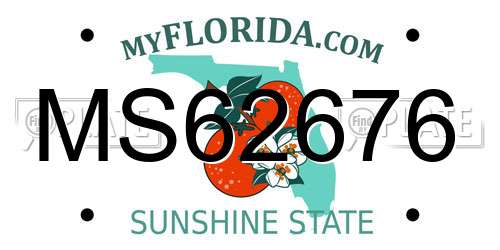 MS62676 Florida License Plate