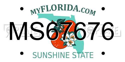 MS67676 Florida License Plate