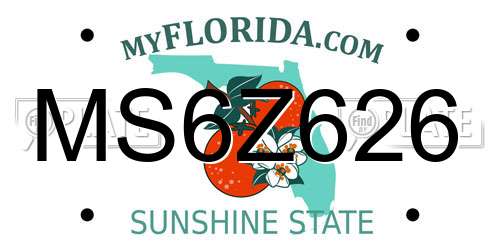 MS6Z626 Florida License Plate