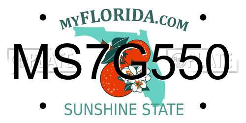 MS7G550 Florida License Plate