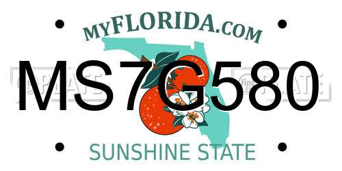 MS7G580 Florida License Plate