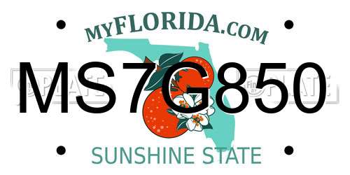 MS7G850 Florida License Plate