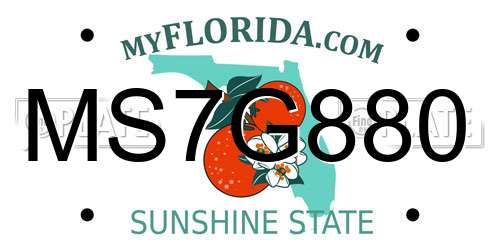 MS7G880 Florida License Plate