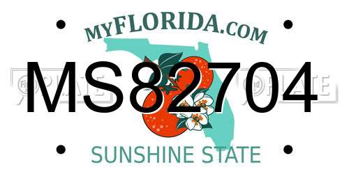 MS82704 Florida License Plate