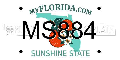 MS884 Florida License Plate