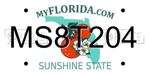 MS8T204 Florida License Plate