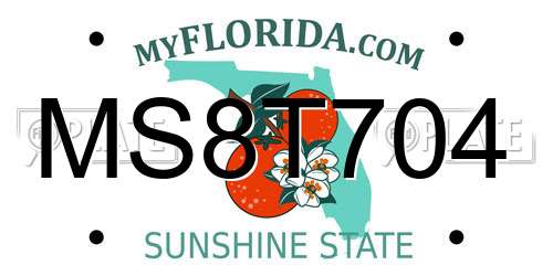 MS8T704 Florida License Plate