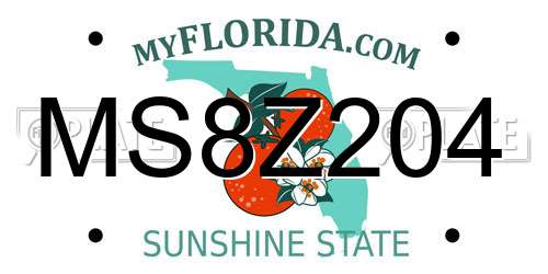 MS8Z204 Florida License Plate