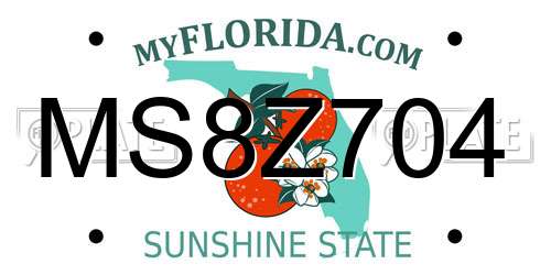 MS8Z704 Florida License Plate