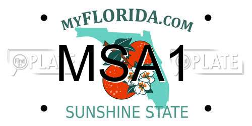 MSA1 Florida License Plate