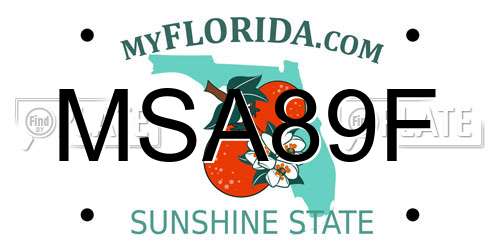 MSA89F Florida License Plate
